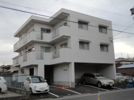 ドルフ本地の間取り画像