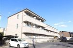 ロイヤルフレア・Mの間取り画像