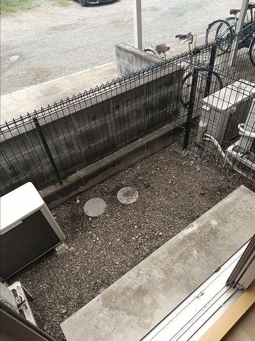 庭