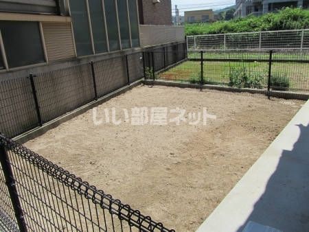 庭
