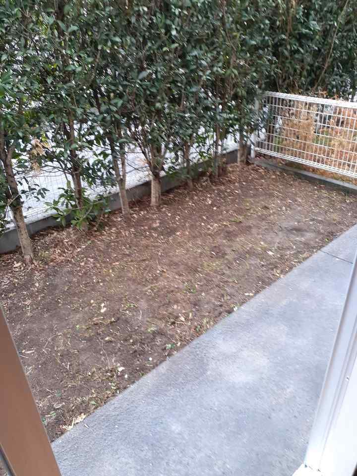 庭