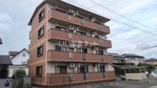 インフィニートの外観