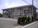 ステラコートの間取り画像