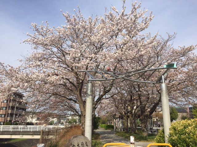 近くに施設あり