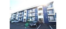 カーサライトワンA・の間取り画像