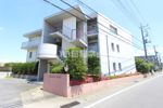 ジュネス並木の間取り画像