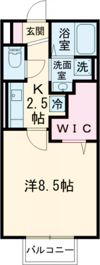 サクラーレ朝日の間取り画像