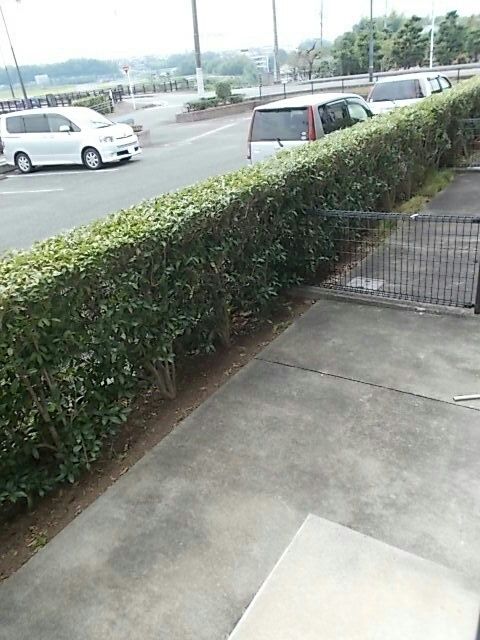 庭