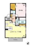 グレイシャス森の間取り画像