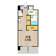 PHOENIX Clove Tomoiの間取り画像