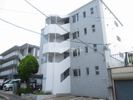 シャトー新樹の間取り画像