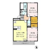 Ciel 住吉の間取り画像