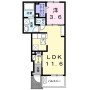 グランディール・シュンの間取り画像
