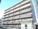 メゾン苗田の間取り画像