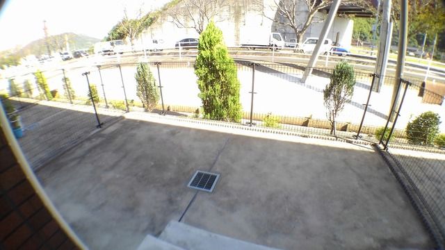 庭