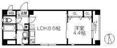 フィオルーナ西新の間取り画像