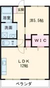 シバタコーポラスの間取り画像