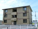 VIVACEの間取り画像