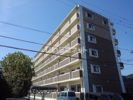 エルモソ ピソの間取り画像