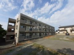 プラムマンションの外観画像
