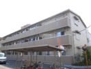 エクセル西船橋Ⅱの間取り画像