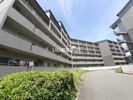 PHOENIX COURT 交野Iの間取り画像
