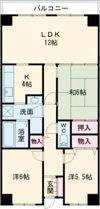 PHOENIX COURT 交野IIの間取り画像