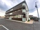 ドルチェビータの間取り画像