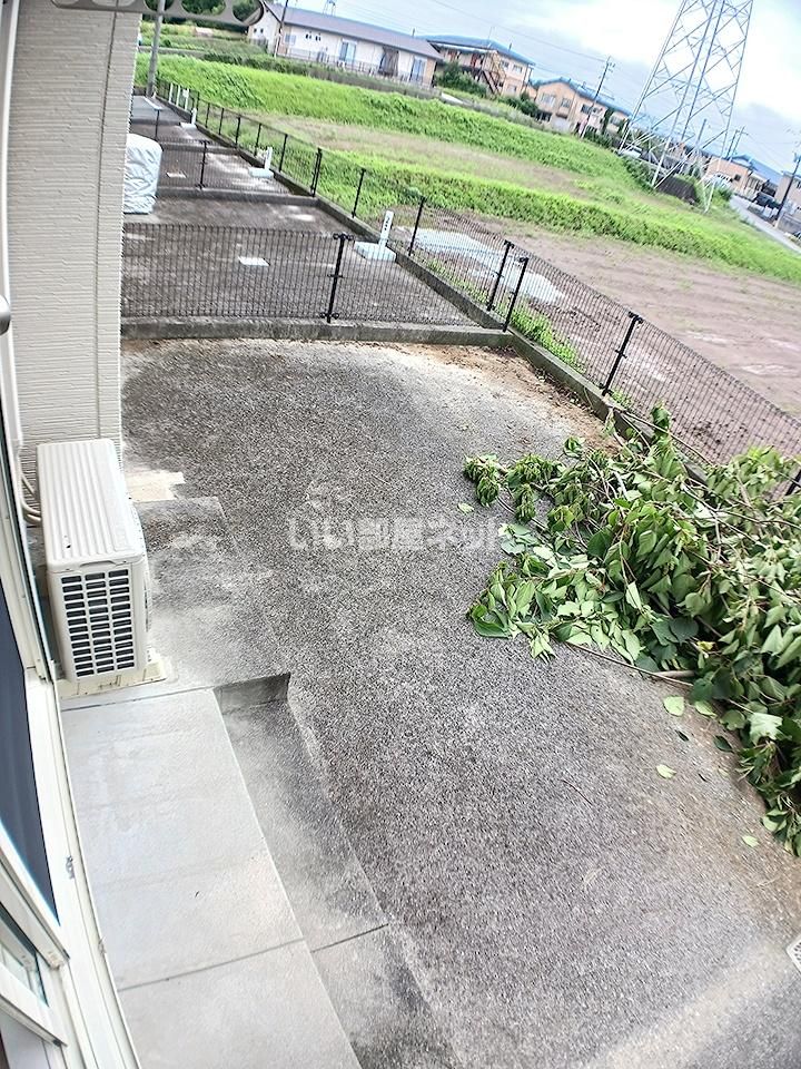 庭