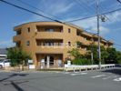 ホルティ コルヌスの間取り画像