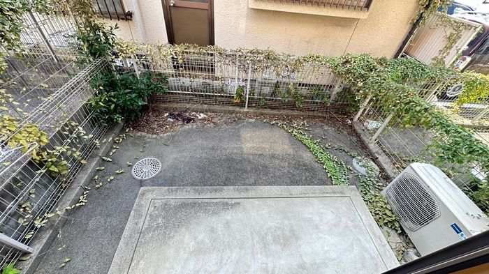 庭