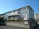 デュオ クール Ⅱの間取り画像
