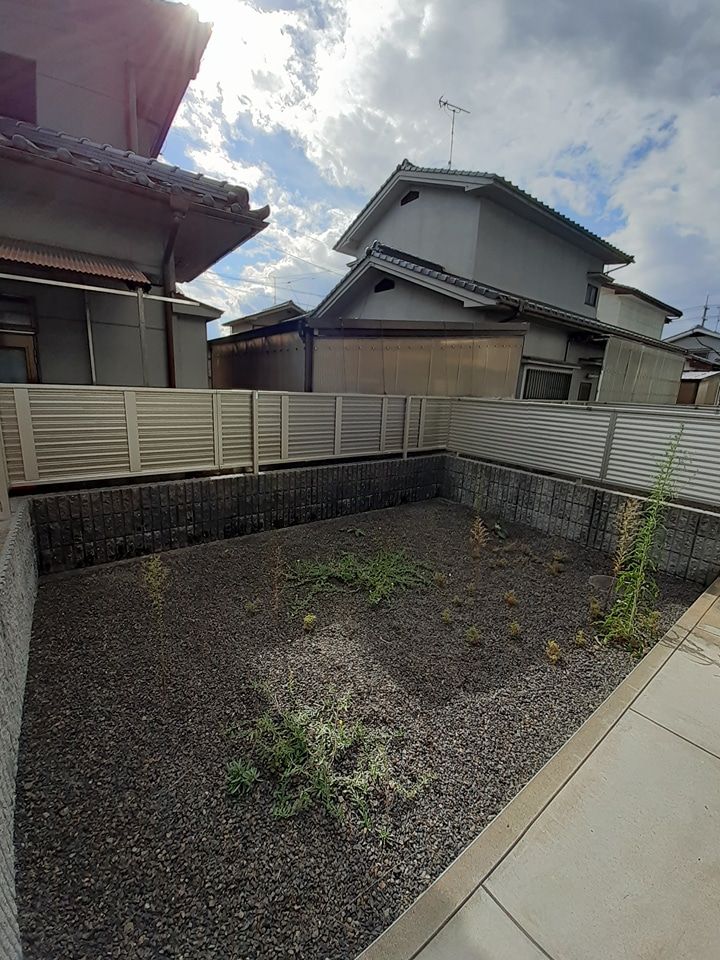 庭