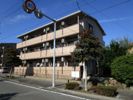 エステアロージョの間取り画像