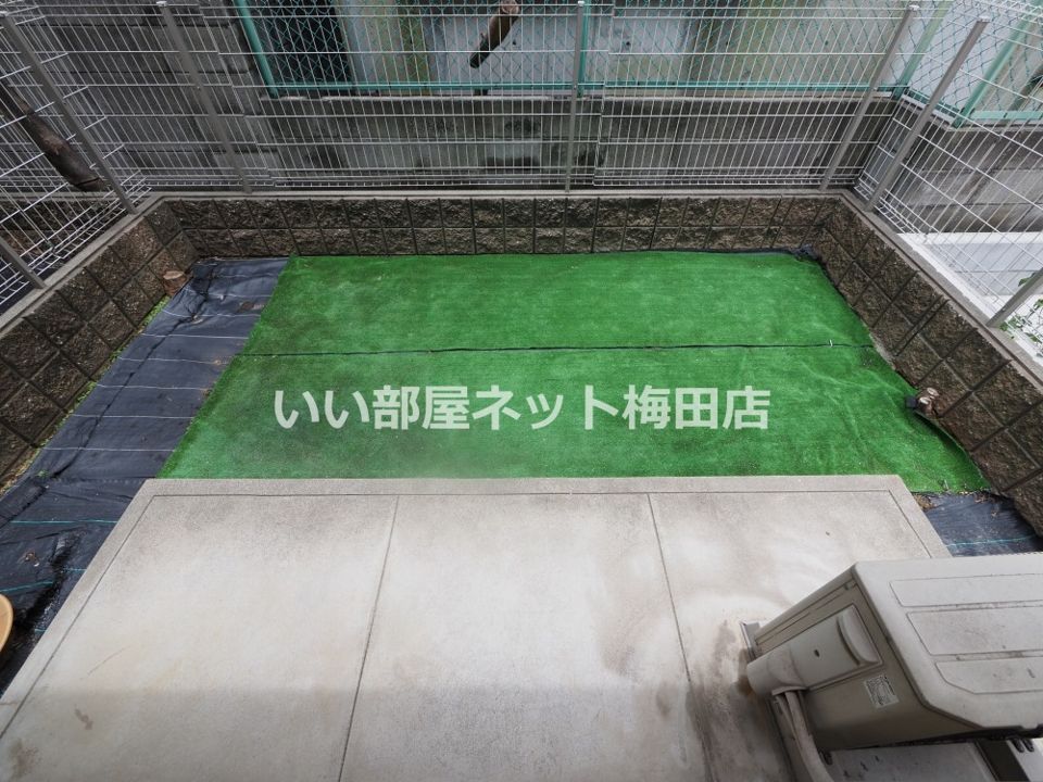庭
