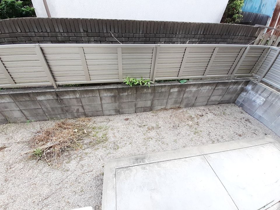 庭
