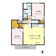 ウィルモアM1の間取り画像