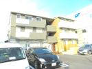 セレーソエステートの間取り画像