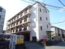 江戸橋グリーンハイツの外観
