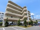 クレオ・テラ 本八幡の間取り画像