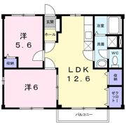 ニューシティサンシャインの間取り画像