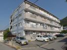 シーナリーマンションの外観