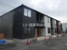 ルッコラの外観
