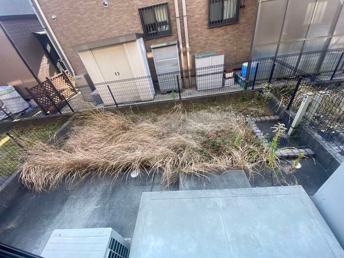 庭