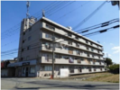 柴田マンションの間取り画像