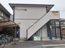 ハイツ川端の間取り画像