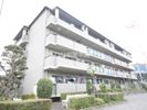 アムールツジタの間取り画像