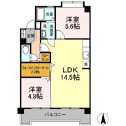 ラフォーレ井ノ口の間取り画像