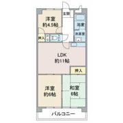 アメニティ メイセイの間取り画像