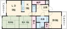 サングリーン今井の間取り画像